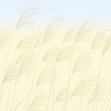 Harlequin Miscanthus Buttermilk/Sky Wallpaper