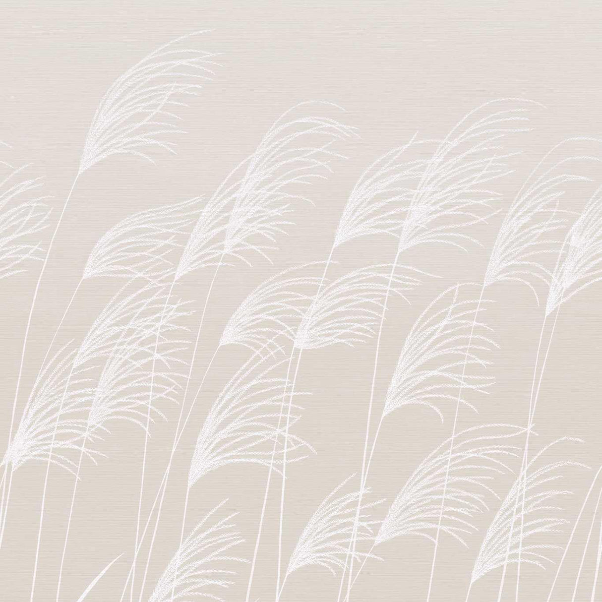 Harlequin Miscanthus Parchment/Frost Wallpaper