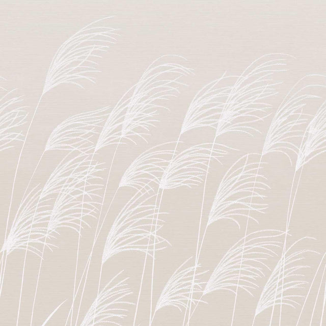 Harlequin Miscanthus Parchment/Frost Wallpaper