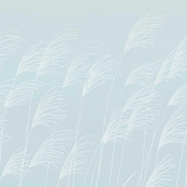 Harlequin Miscanthus Sky/Celestial Wallpaper