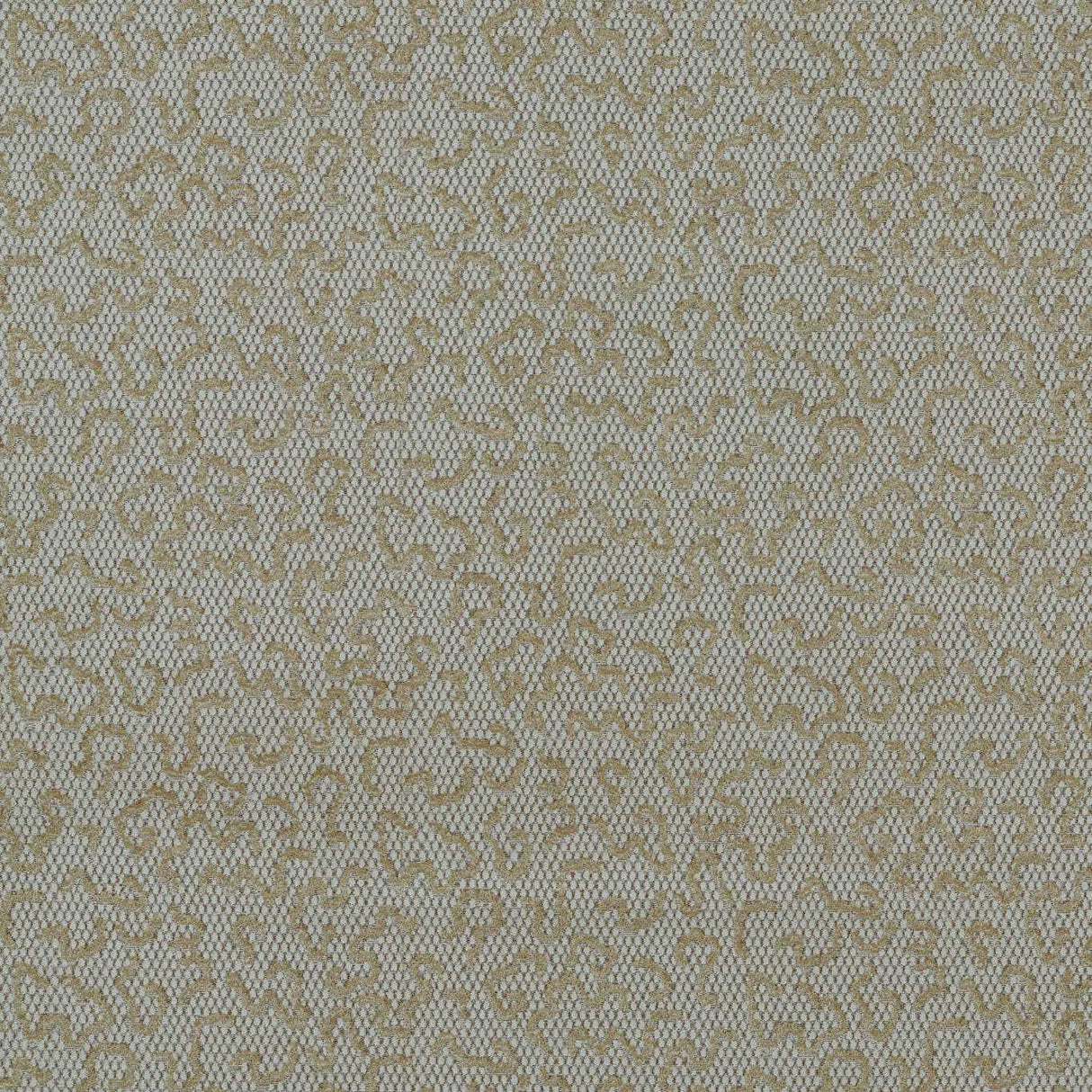 Zoffany Domino Velvet Nimbus Fabric