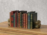 Sarreid Rebound Leather Books  Assorted  Set/12