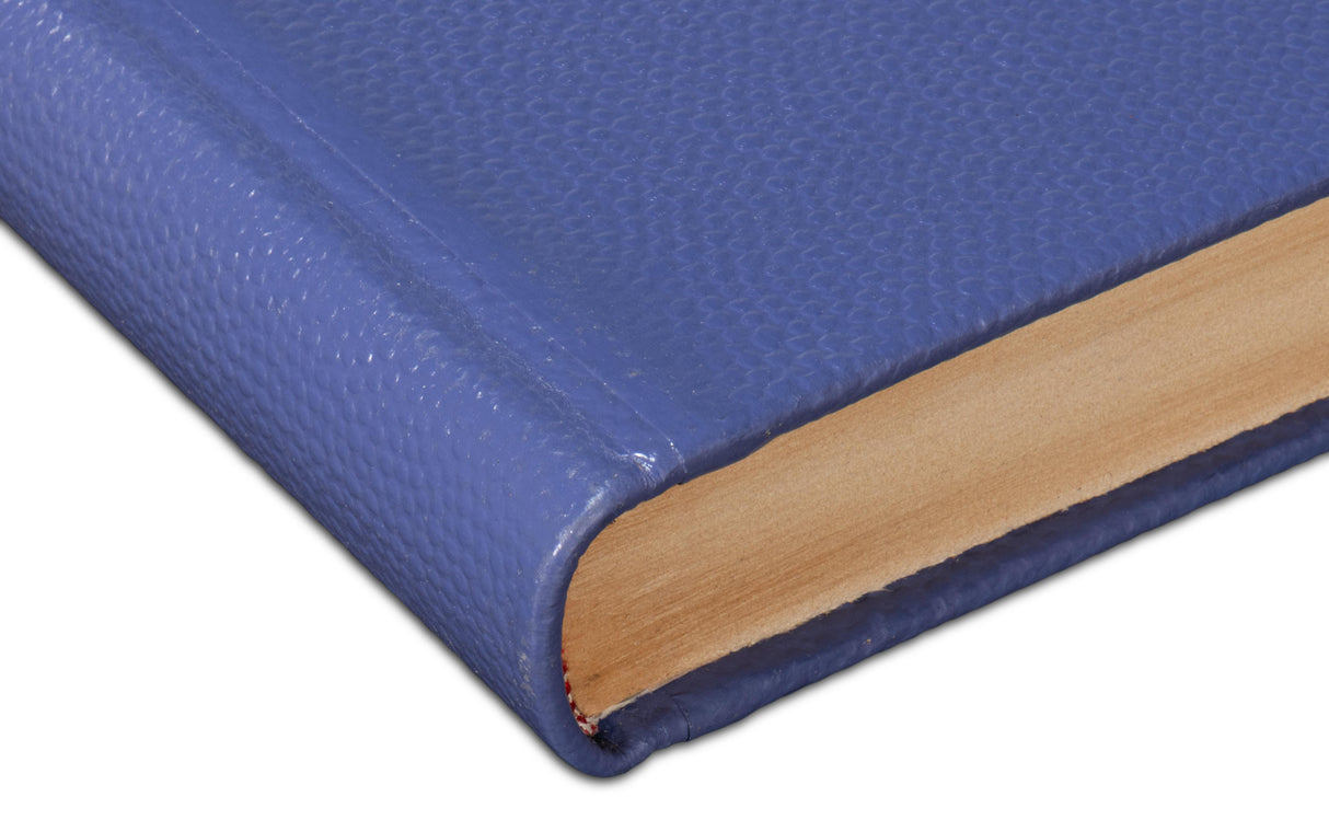 Sarreid Shagreen Books  Set Of 12  Marlin