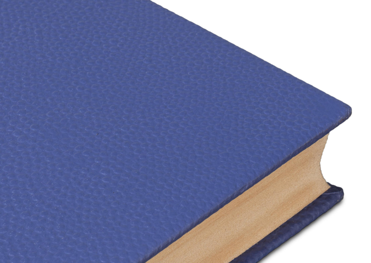 Sarreid Shagreen Books  Set Of 12  Marlin