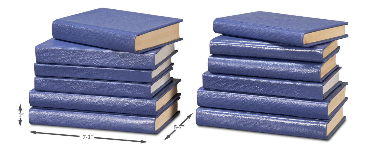 Sarreid Shagreen Books  Set Of 12  Marlin