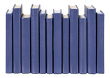 Sarreid Shagreen Books  Set Of 12  Marlin
