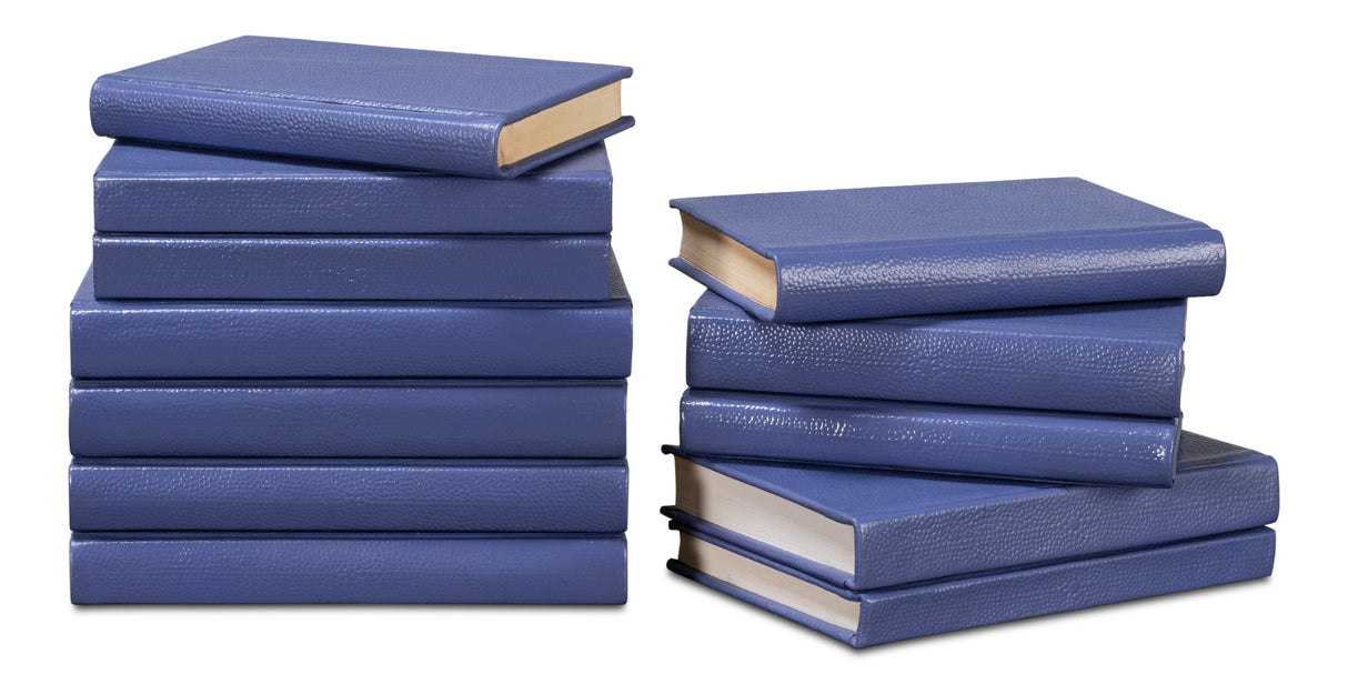 Sarreid Shagreen Books  Set Of 12  Marlin