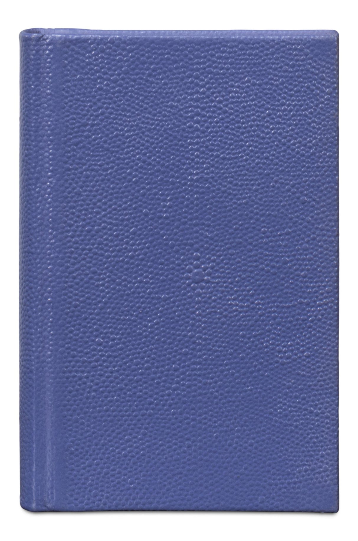 Sarreid Shagreen Books  Set Of 12  Marlin