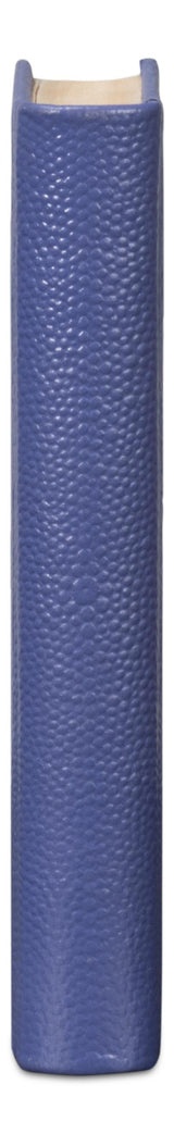 Sarreid Shagreen Books  Set Of 12  Marlin