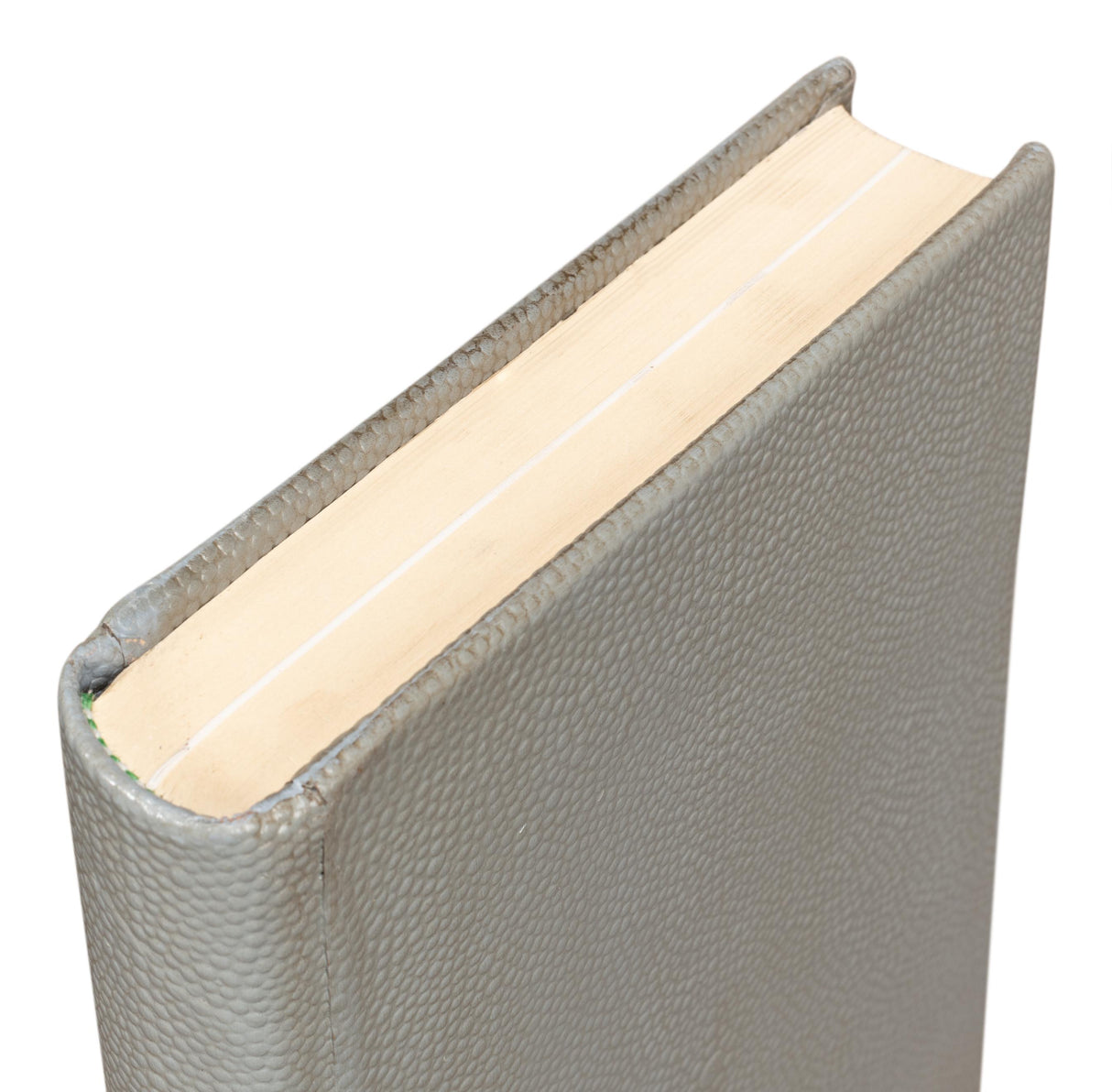 Sarreid Shagreen Books  Set Of 12  Storm Grey