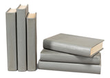 Sarreid Shagreen Books  Set Of 12  Storm Grey