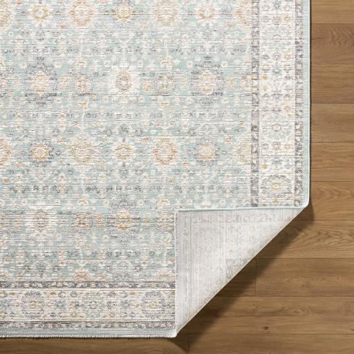 Surya Amir AMR-2304 5'3" x 7' Rug