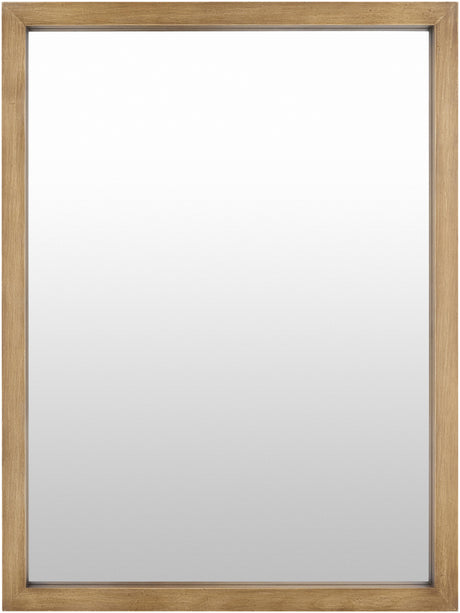Surya Brooklynn BROL-001 35"H x 24"W x 2"D Mirror