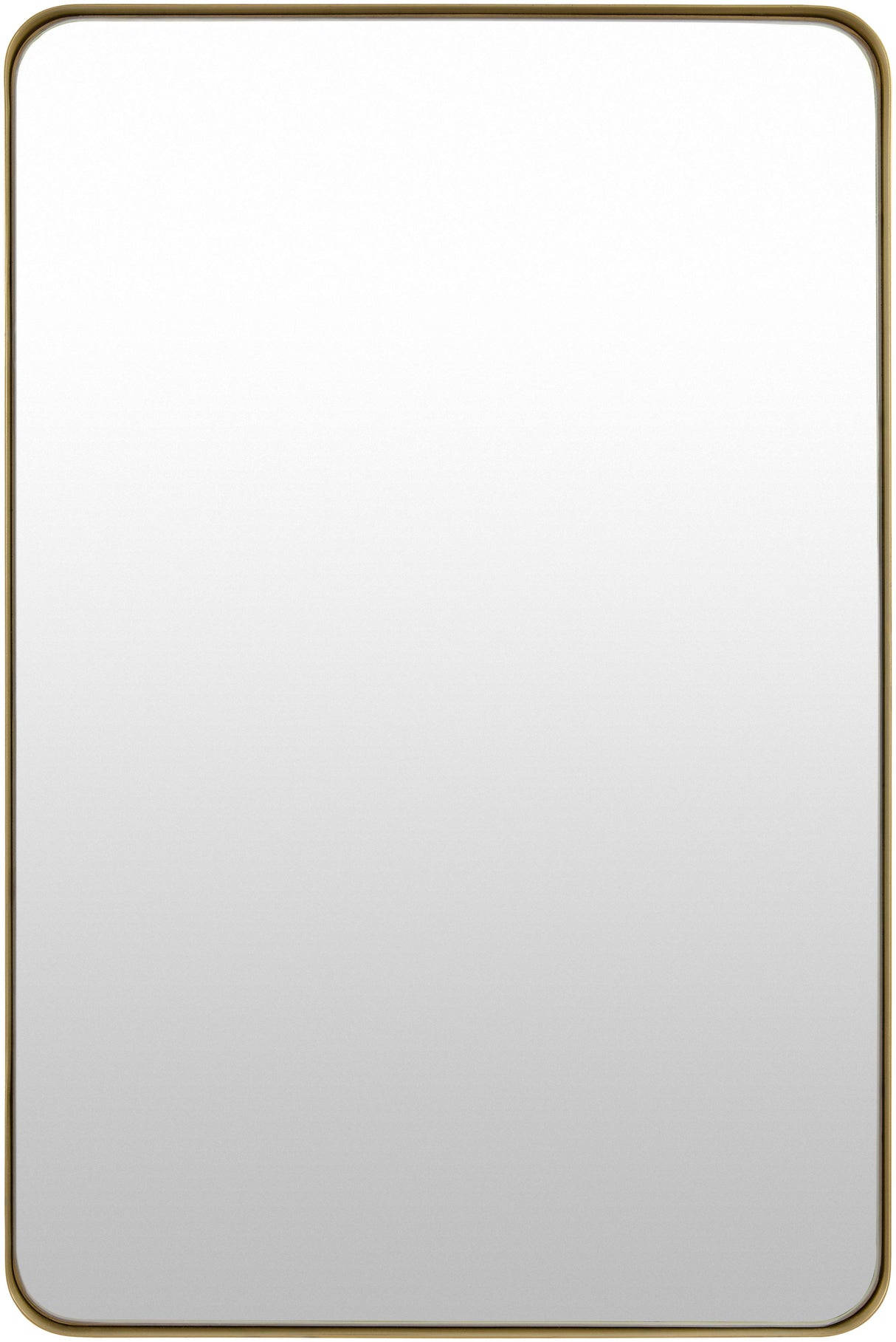 Surya Carbondale CALE-003 30"H x 20"W x 2"D Mirror