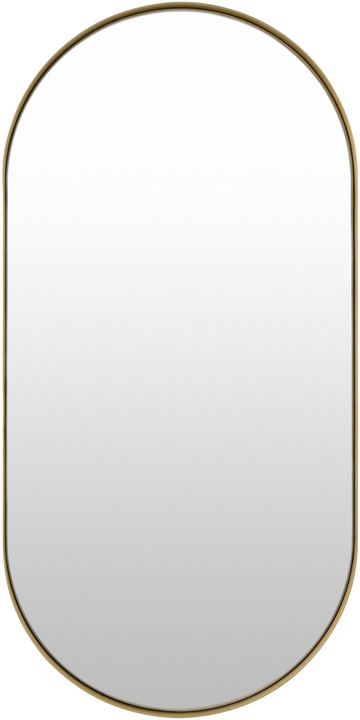 Surya Carbondale CALE-007 32"H x 16"W x 2"D Mirror