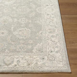 Surya Poetry POI-2305 2'7" x 3'11" Rug