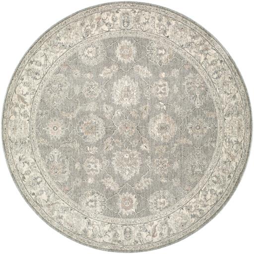 Surya Poetry POI-2305 2'7" x 3'11" Rug