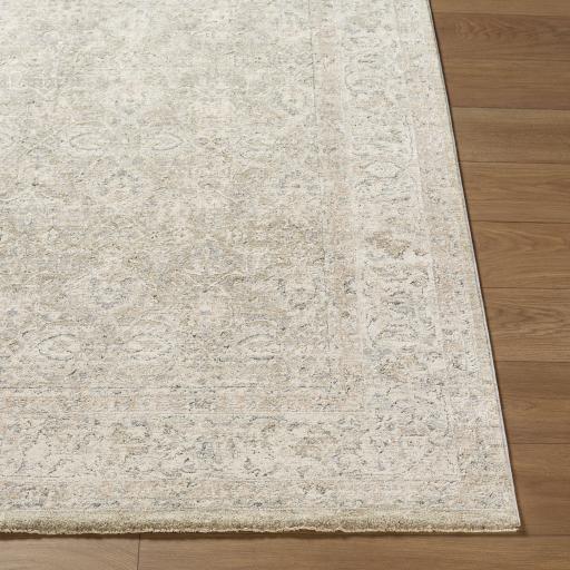Surya Poetry POI-2307 2'7" x 3'11" Rug