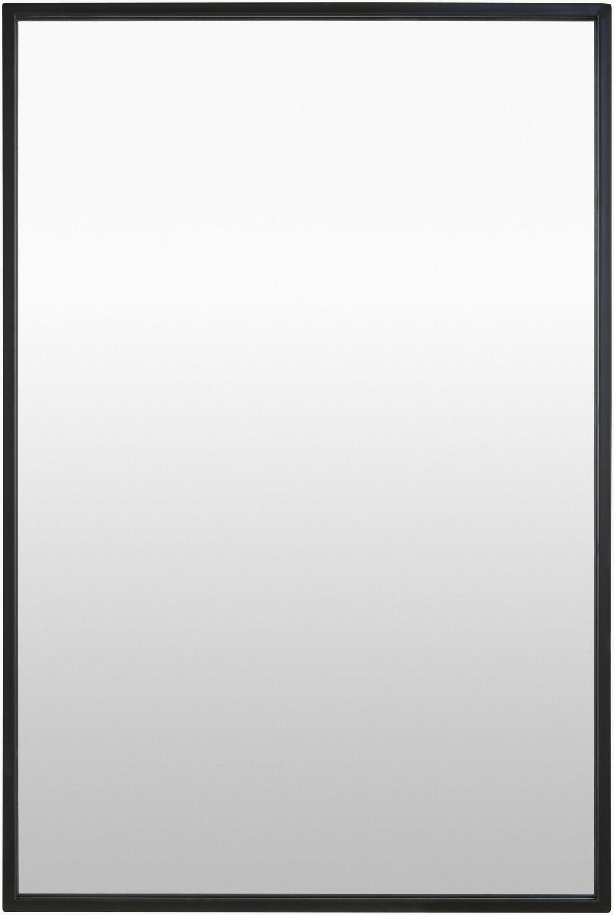 Livabliss Carmen RME-003 36"H x 24"W x 1"D Mirror