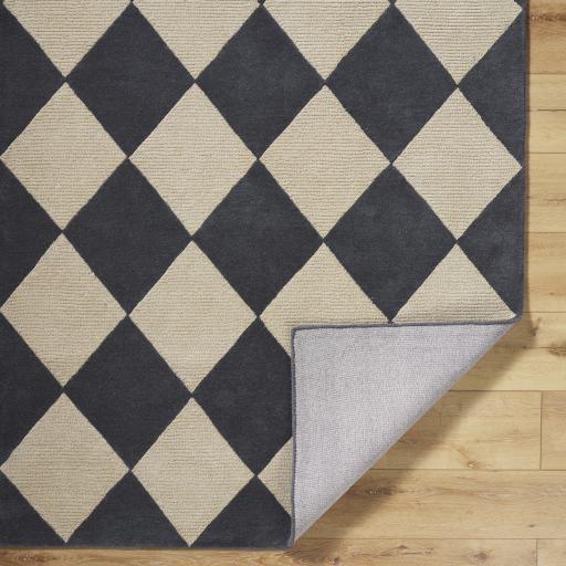 Surya Isaac VVIS-2301 2' x 3' Rug