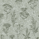 DecoratorsBest Herbarium Hues Herbs & Grasses Sage Green Cork Texture Wallpaper