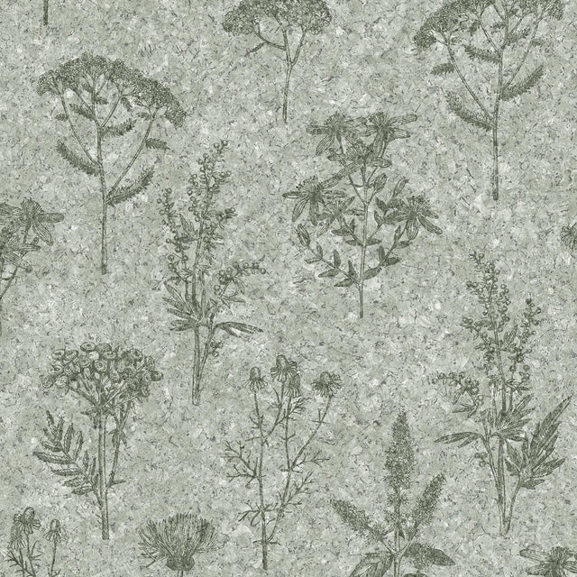 DecoratorsBest Herbarium Hues Herbs & Grasses Sage Green Cork Texture Wallpaper