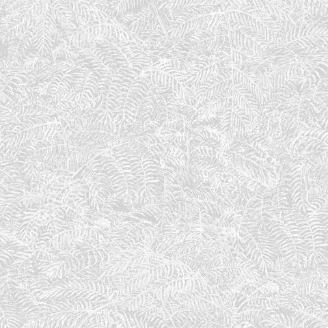DecoratorsBest Fern Texture White Wallpaper