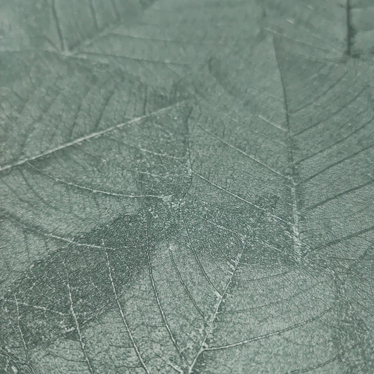 DecoratorsBest Luminous Leaf Collage Turquoise on Foil with Ultra Fine Emboss Wallpaper