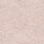 DecoratorsBest Fern Texture Pink Wallpaper