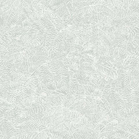 DecoratorsBest Fern Texture Light Green Sage Wallpaper