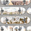 DecoratorsBest City Skate Grey Wallpaper