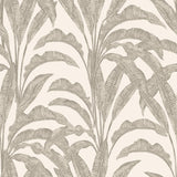DecoratorsBest Luxe Tropical Palm Beige and Cream Wallpaper