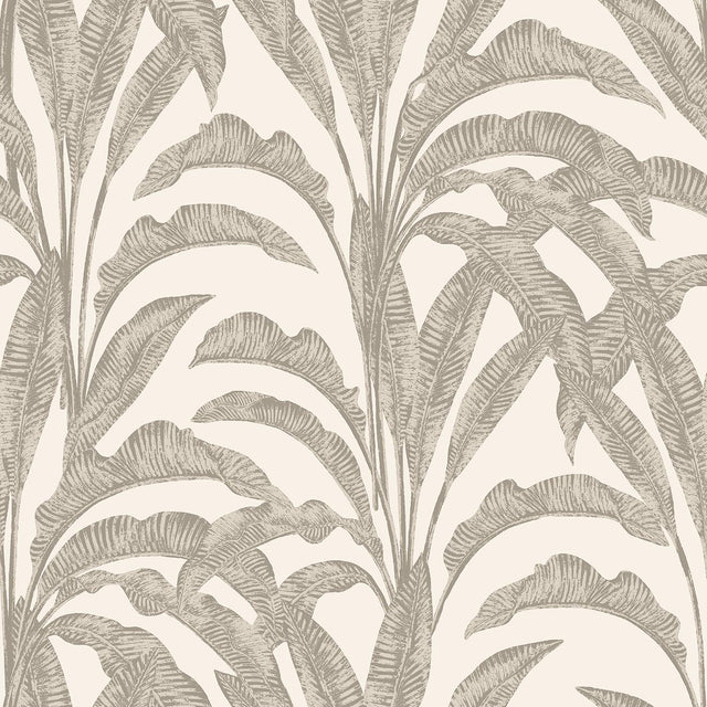 DecoratorsBest Luxe Tropical Palm Beige and Cream Wallpaper
