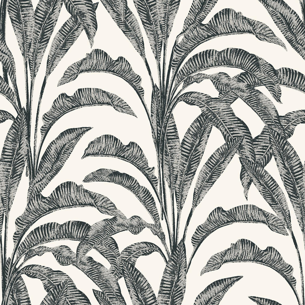 DecoratorsBest Luxe Tropical Palm Grey & Cream Wallpaper