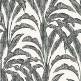 DecoratorsBest Luxe Tropical Palm Grey & Cream Wallpaper