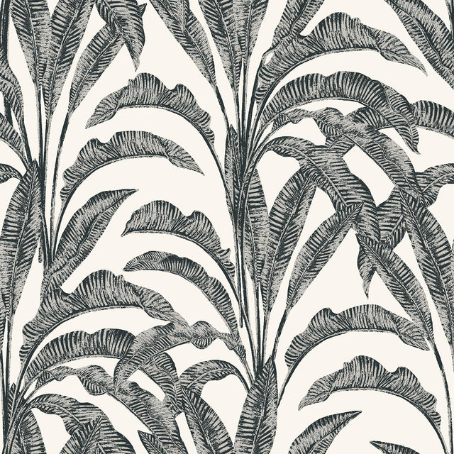 DecoratorsBest Luxe Tropical Palm Grey & Cream Wallpaper