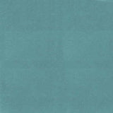 Kravet DESIGN NOVASUEDE 13 Upholstery Fabric