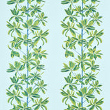 Thibaut Mangrove Tree Turquoise Fabric