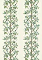 Thibaut MANGROVE TREE Sage Fabric
