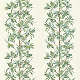 Thibaut Mangrove Tree Sage Fabric