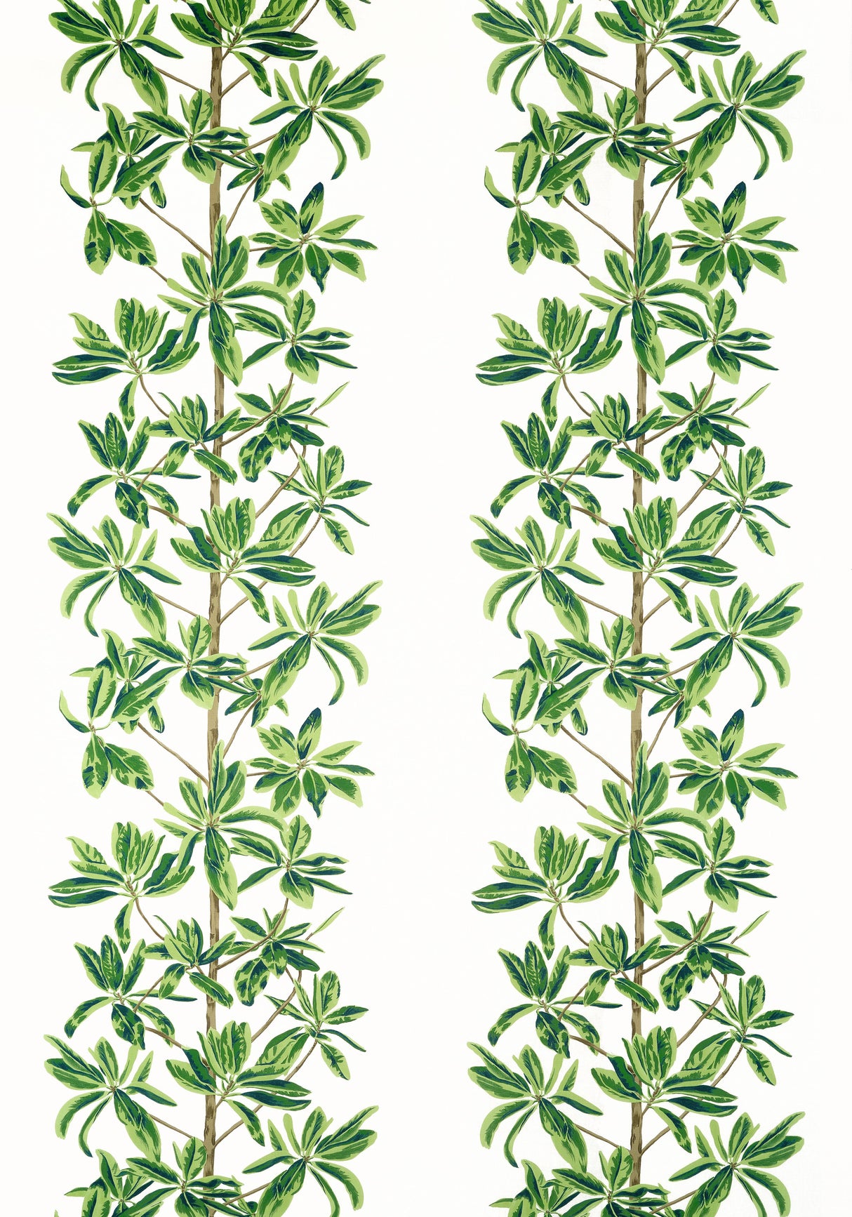 Thibaut MANGROVE TREE Green and White Fabric