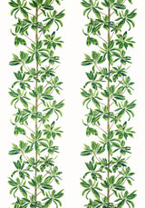 Thibaut MANGROVE TREE Green and White Fabric