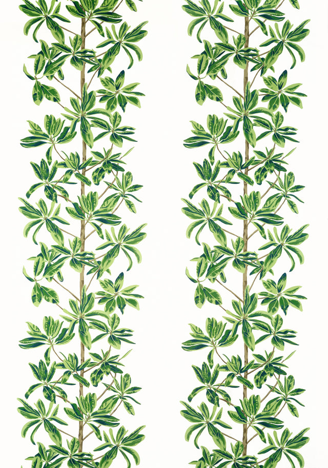 Thibaut MANGROVE TREE Green and White Fabric