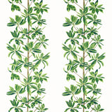 Thibaut Mangrove Tree Green And White Fabric