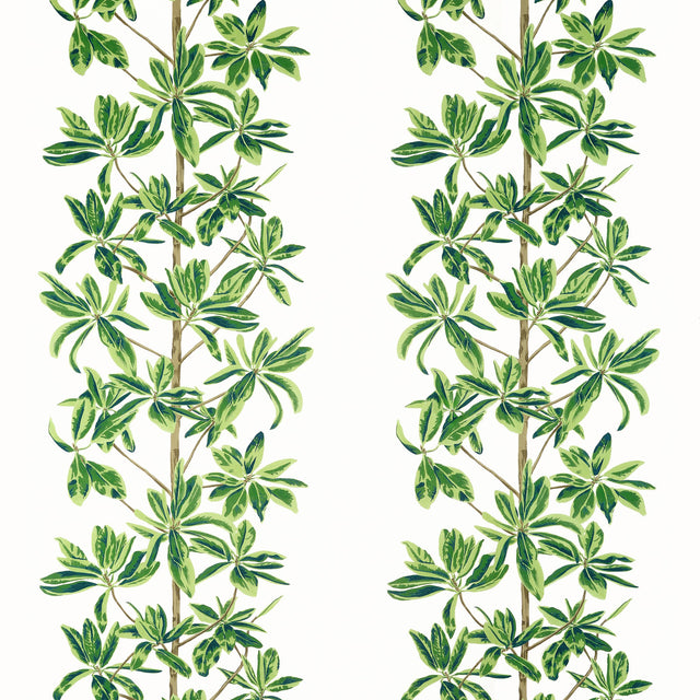Thibaut Mangrove Tree Green And White Fabric