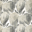 Thibaut Under The Sea Black And White Wallpaper