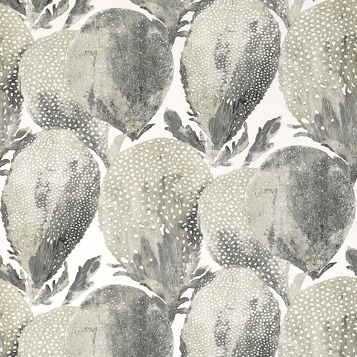 Thibaut Under The Sea Black And White Wallpaper