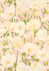 Thibaut Seashell Pink S Wallpaper