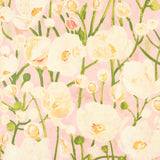 Thibaut Tivoli Seashell Pink Wallpaper