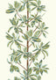 Thibaut Sage S Wallpaper